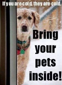 Cold Weather Dangers 1395441_10200997710725211_1041200392_n USED 1-5-2014