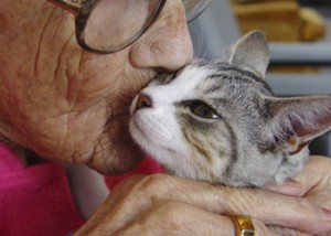 Senior Woman With Cat
