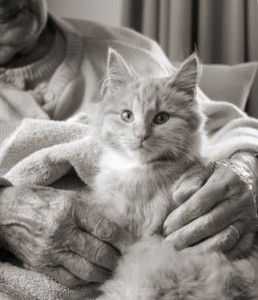 Senior Woman With Cat2