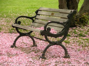 Park Bench