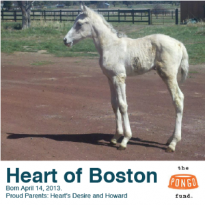 Heart of Boston 2-01