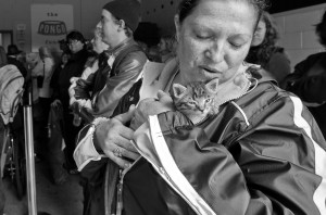 Pongo feeds cats too