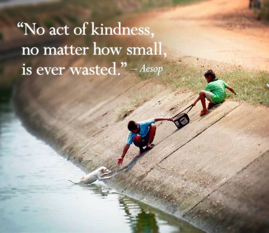 no act of kindness is ever wasted essay