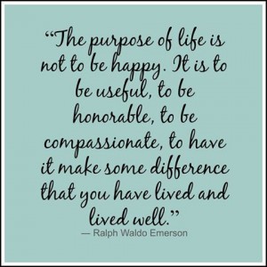 Meme Happy Purpose of Life 11698646_10153450140593186_2796008352149686087_n