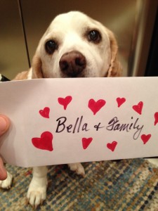 2015-12-13 10.01.12-1 FB 12-13-15 Scooby and Little White Envelope -- Bella