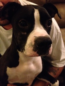2015-12-13 15.46.00 FB 12-13-15 Bella