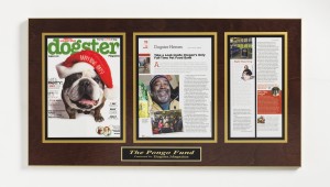 Dogster Pongo_Fundv2