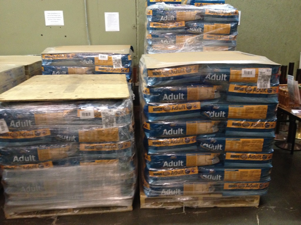 Thank You Green Dog Pet Supply The Pongo Fund