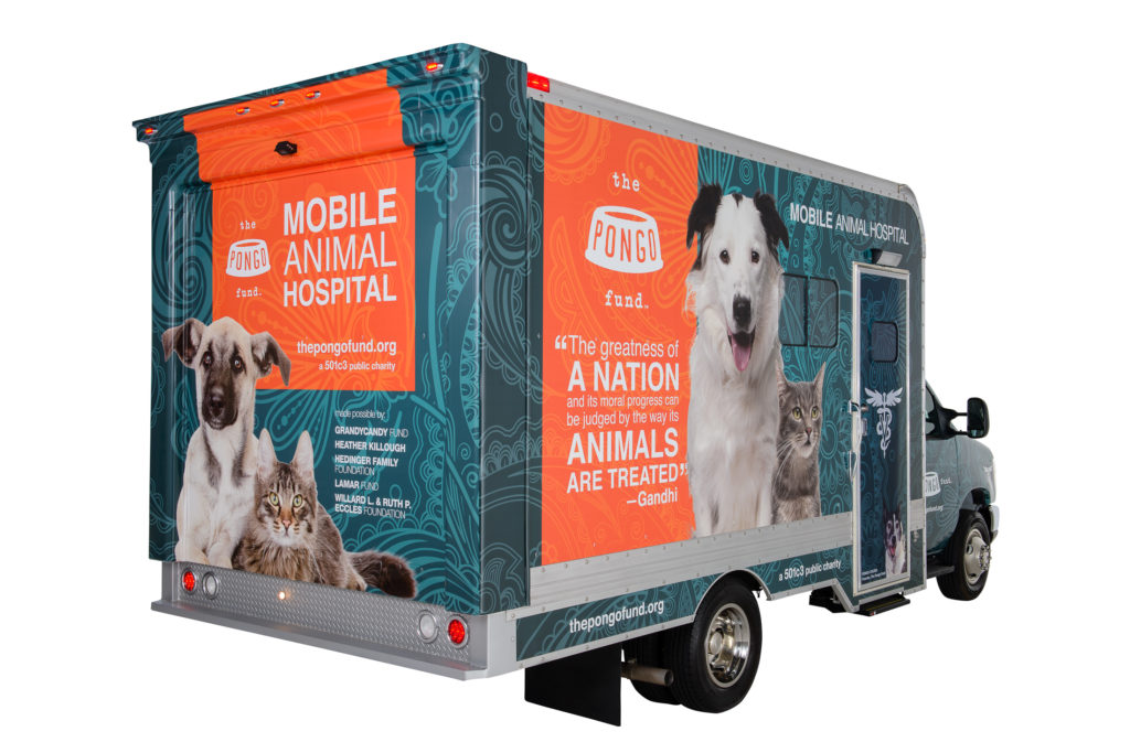 Veterinary Care The Pongo Fund