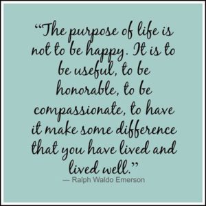 meme-happy-purpose-of-life-11698646_10153450140593186_2796008352149686087_n-fb-11-1-15
