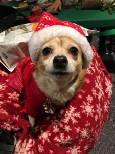 2016-12-25-16-04-24-fb-12-25-16