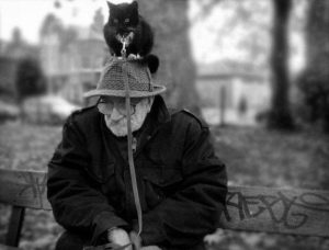 cat-september-21-2011-22-10-06-1836-fb-7-30-14-fb-9-17-16-fb-12-26-16