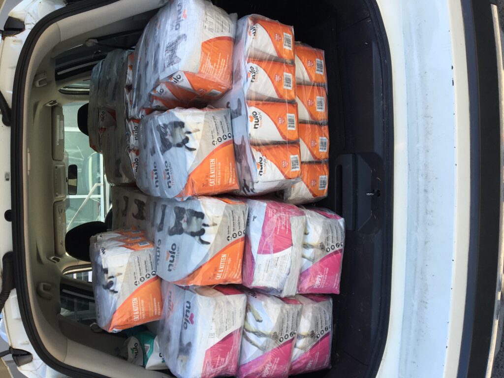 Pongo News The Pongo Fund